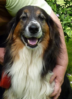 Foto: Oetken