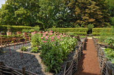 Abbaye de Royaumont - Jardin des neuf carrés.