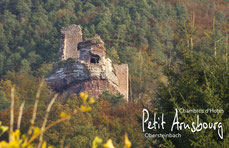 Ambience Chambres D Hotes Petit Arnsbourg Obersteinbach