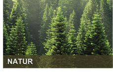 Coaching Natur München