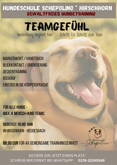 Hundeschule Schepolino 69434 Heddesbach 