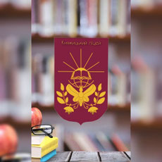 Княжицька загальноосвітня школа І-ІІІ ступенів броварський район
