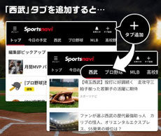 埼玉県無料招待 - 埼玉西武ライオンズ 無料招待