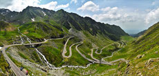 Transalpine