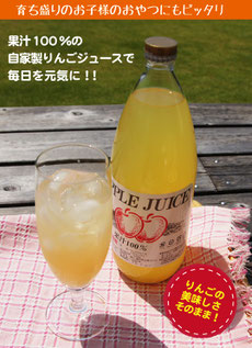 りんご屋たけむら りんごジュース