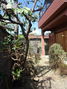 八尾市太田中古物件,八尾市太田中古戸建,八尾市太田戸建,八尾市太田中古一戸建,東大阪,不動産,スーモ,ホームズ,suumo,homes,リノベーション,リフォーム,住家,すみか,sumika