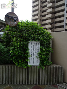 深江橋第2コーポ,深江橋第二コーポ,城東区中古物件,城東区中古マンション,東大阪,スーモ,ホームズ,suumo,homes,リノベーション,リフォーム,住家,すみか,sumika