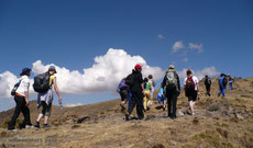 Caminatas para oxigenar en cuerpo