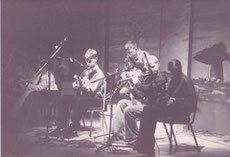 Traditional Irish Music Players