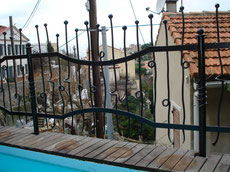 garde corps piscine grillage cloture afrique nature serpent libre fer forge bormes les mimosas lavandou hyères toulon var ferronnerie art ferronnier forgeron by thibault KLUKASZEWSKI with forge et style