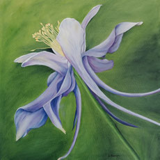 Akelei 80x80 Öl