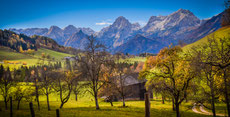 Herbst 80 x 40 cm Leinwand