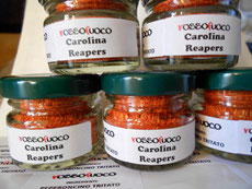 Disponibile Polvere Carolina Reapers Red l'intoccabile ! 2,200,000 US più piccante del MONDO 2015/2016 10gr 5 € basta per 12 mesi