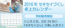 2016年セキセイづくし卓上カレンダー