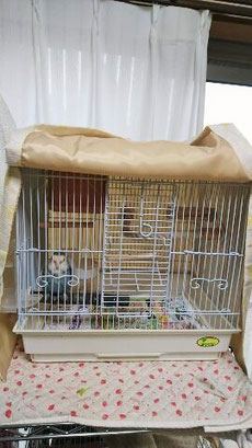 鳥かご カバー インコ アクリル ケース 鳥かご カバー 手作り お客様の声3 オーダーメイドアトリエ なおたんのペットグッズ