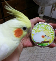 コンパクトミラー 写真