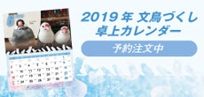 2019 文鳥づくし卓上カレンダー