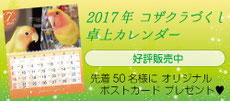 2017年　コザクラづくし卓上カレンダー