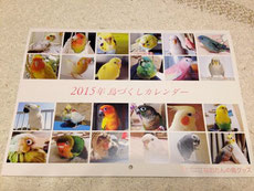 2015年 鳥づくし壁掛けカレンダー　写真