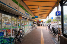 県道21号線沿いの歩道写真02