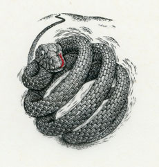 2012　From beyond the Hill　7. 1x 16. 2cm-Limited Edition 30　Wood Engraving ￥11,000