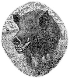 2019　Still being Wild　8. 8x 7. 8cm Limited Edition 30　Wood Engraving ￥12,000