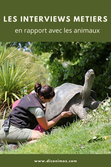 les interviews métiers en rapport avec les animaux et reportages