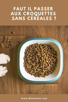 faut il passer aus croquettes sans cereales pour contre avantage inconvenients sante animal chien chat