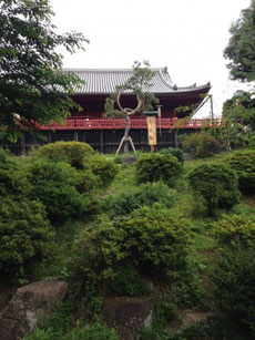 上野公園2