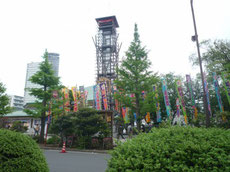 大相撲 五月場所