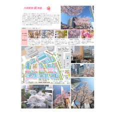 大阪駅前ダイヤモンド地区桜マップ資料の画像