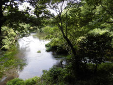 　　　対岸ではバーベキューをしていた