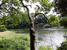 　　　　　　至る所で湧いている