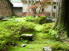 苔(MOSS)の園 石川県小松市