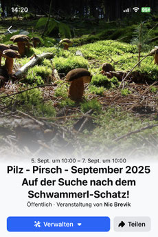 Pilz Pirsch