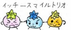 ichigahora ページ！