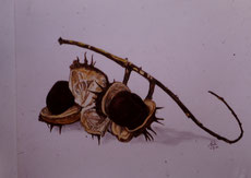 Still life with Polychromes pencil (1986)