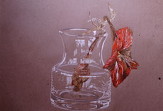 Still life on Ingrès paper with Polychromes pencil (1986)