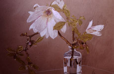 Still life on Ingrès paper with Polychromes pencil (1986)