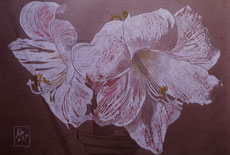 Still life on Ingrès paper with Polychromes pencil (1986)
