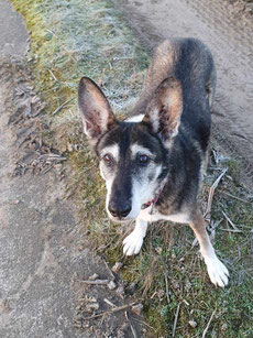 Kaya
