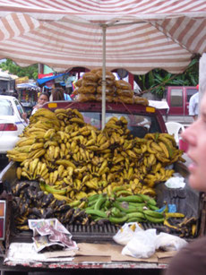viererlei Bananen (schwarz, gruen, gelb und als Chips)