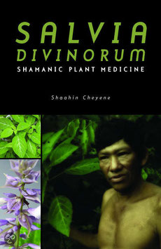 salvia drogue des shamans