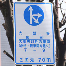 異形矢印標識(指定方向外進行禁止)。神奈川県平塚市にある。
