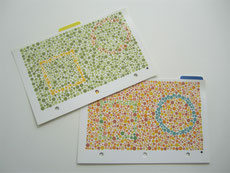 optometrista optometrist optometria optometría optometry vision therapy terapia visual girona catalunya estrabisme ambliopia lectura color colour ishihara percepció 