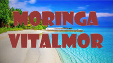 Comprar Moringa España