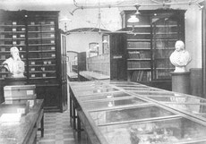 Het herbarium in het Botanisch Instituut.