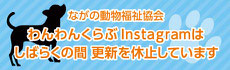 ながの動物福祉わんわんくらぶ インスタグラム