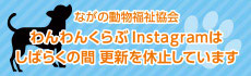ながの動物福祉わんわんくらぶ インスタグラム