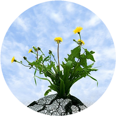 Beratung für Erzieher, Beratung für Lehrkräfte, Resilienzstärkung, psychische Gesundheit, mentale Stärke, Stressbewältigung für pädagogische Fachkräfte, Stresstraining, Kinderentspannung, Beratung Eltern Stress, Resilienz-Training, Beratung Burnout